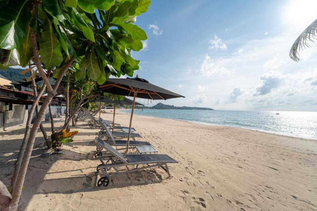 פווליון ריזורט קוסמוי  - (Pavilion Samui Villas and Resort)