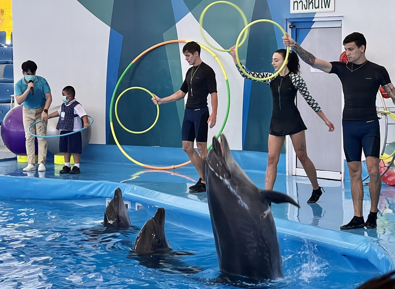 דולפינריום פאטיה (Pattaya Dolphinarium)