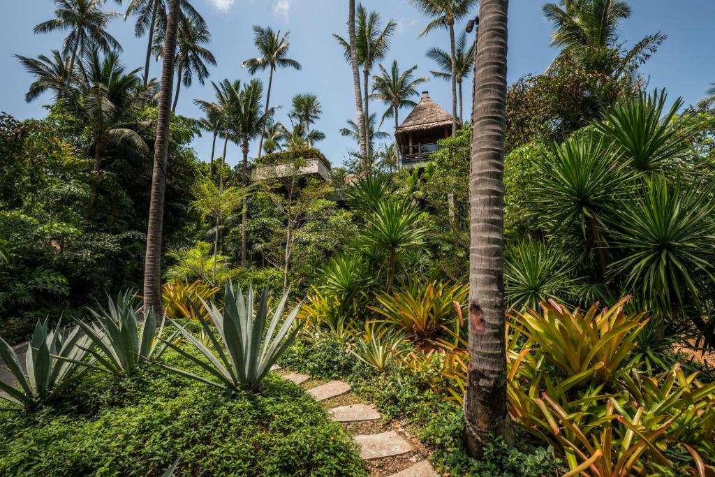 פור סיזנס ריזורט (Four Seasons Resort Koh Samui)