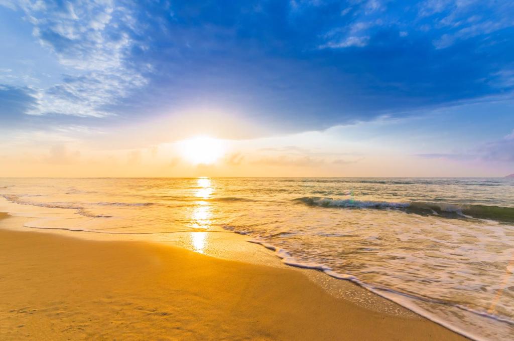 צ'אוונג גרדן ביץ' ריזורט (Chaweng Garden Beach Resort)