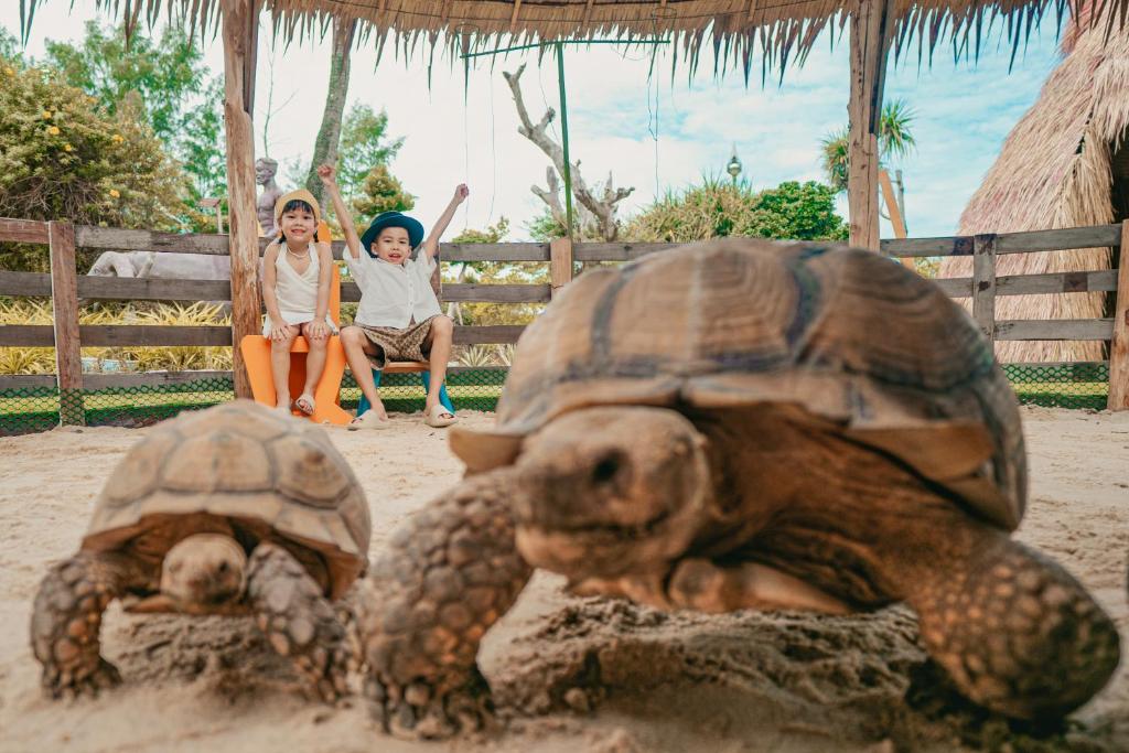תבורן פאלם ביץ' ריזורט פוקט (Thavorn Palm Beach Resort Phuket)