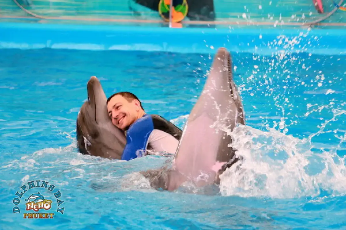 מופע דולפינים בפוקט – Dolphins Bay Phuket