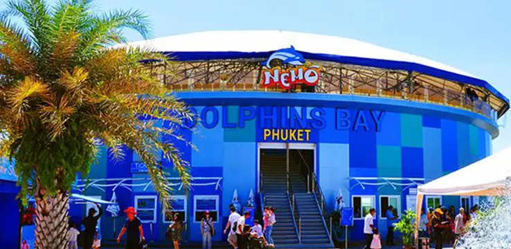 מופע דולפינים בפוקט – Dolphins Bay Phuket