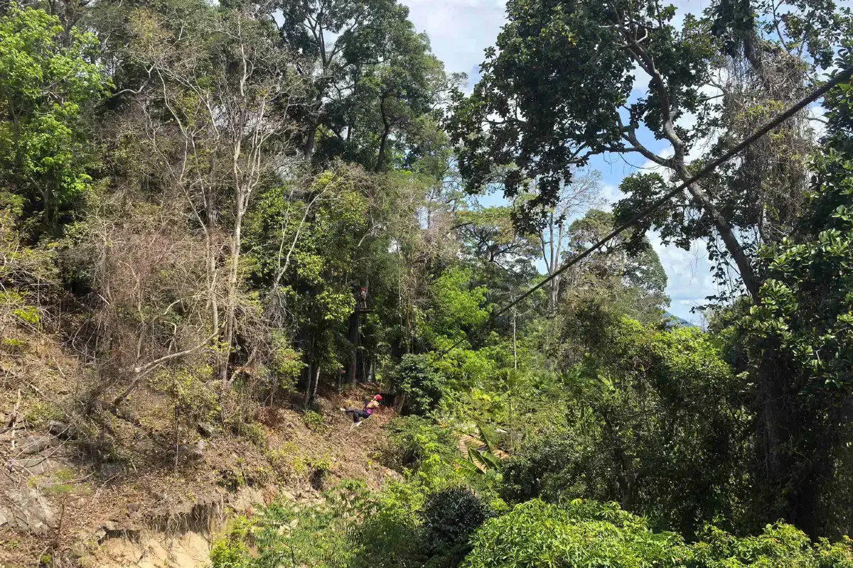 אומגות בפוקט – Hanuman World Zipline