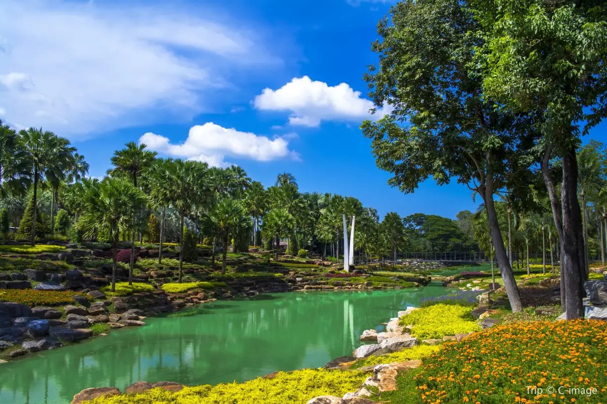 הגנים הטרופיים נונג נוצ' – Nong Nooch Tropical Garden