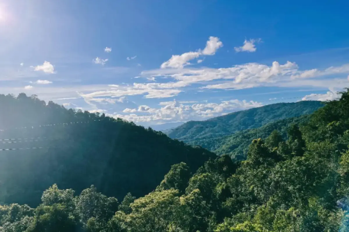אומגות בצ'יאנג מאי – Zipline in Chiang Mai